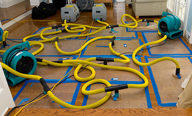 Professional Flood Damage Restoration technician working in Scurry, TX