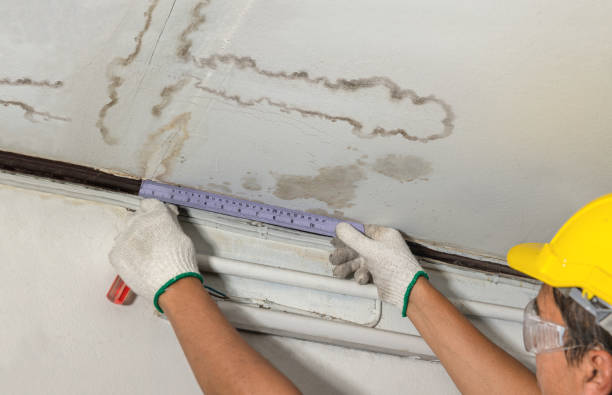 Affordable Water Damage Repair solutions in Scurry, TX
